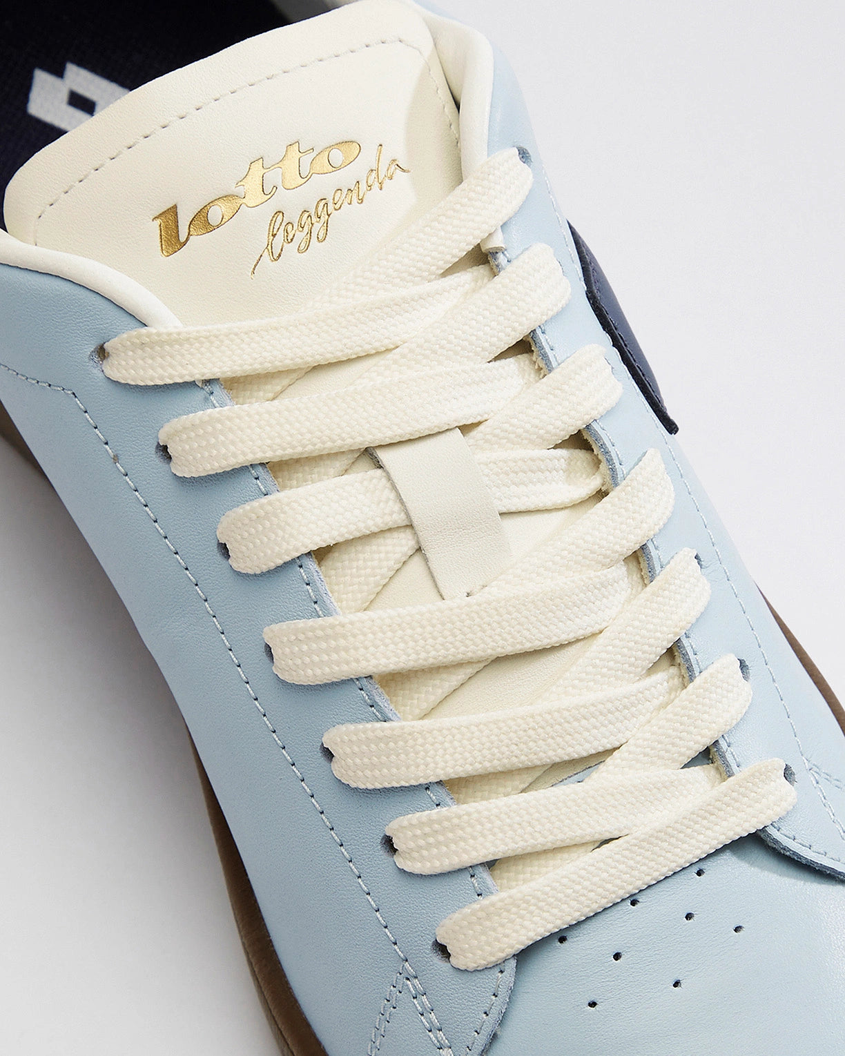 Autograph OG - Omphalodes-Mood Indigo