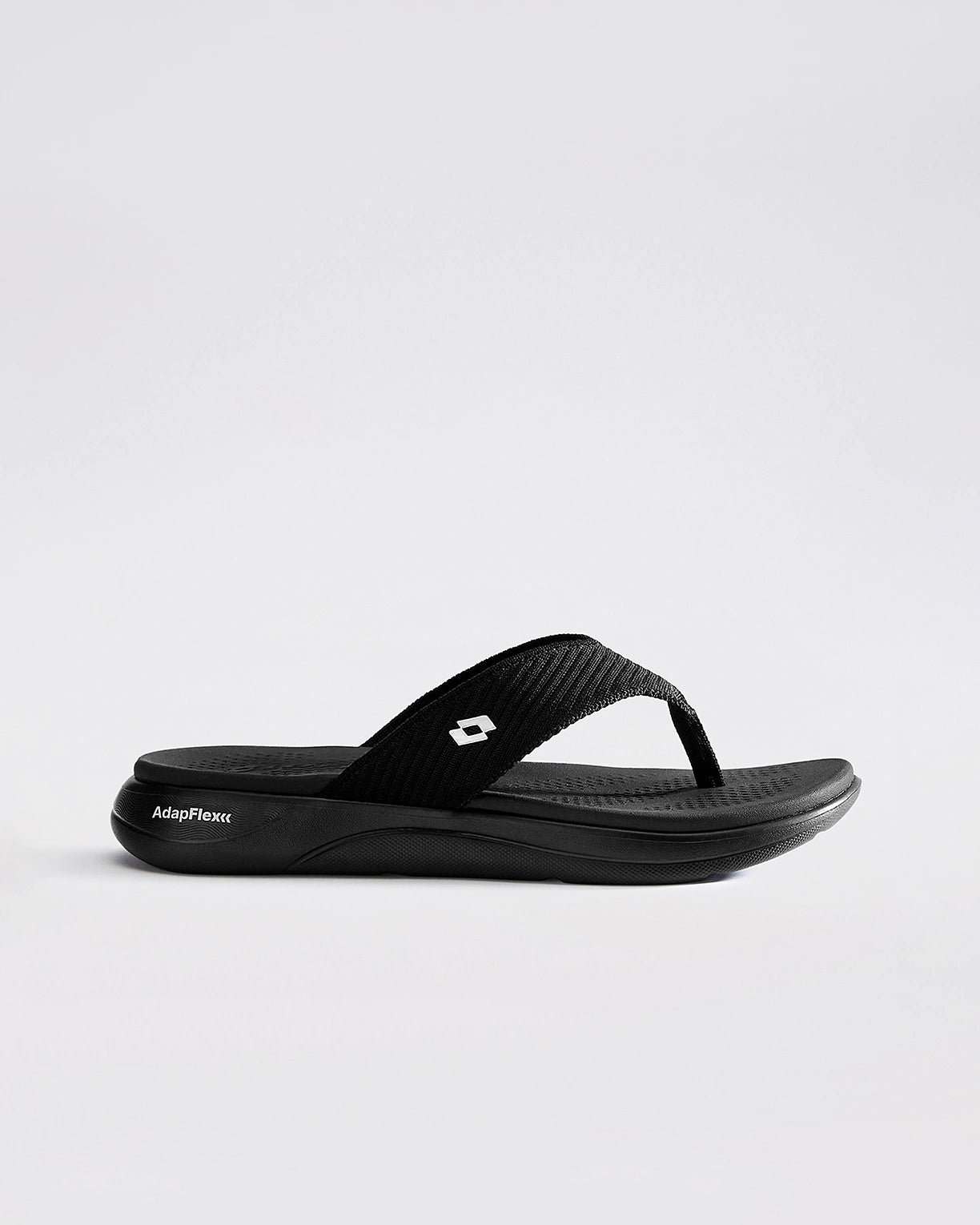 Evernote Plus - Black Beauty-Silver Metallic