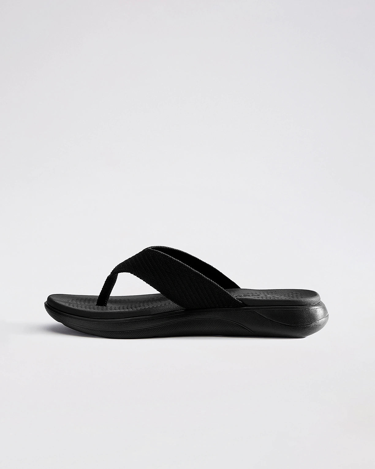 Evernote Plus - Black Beauty-Silver Metallic