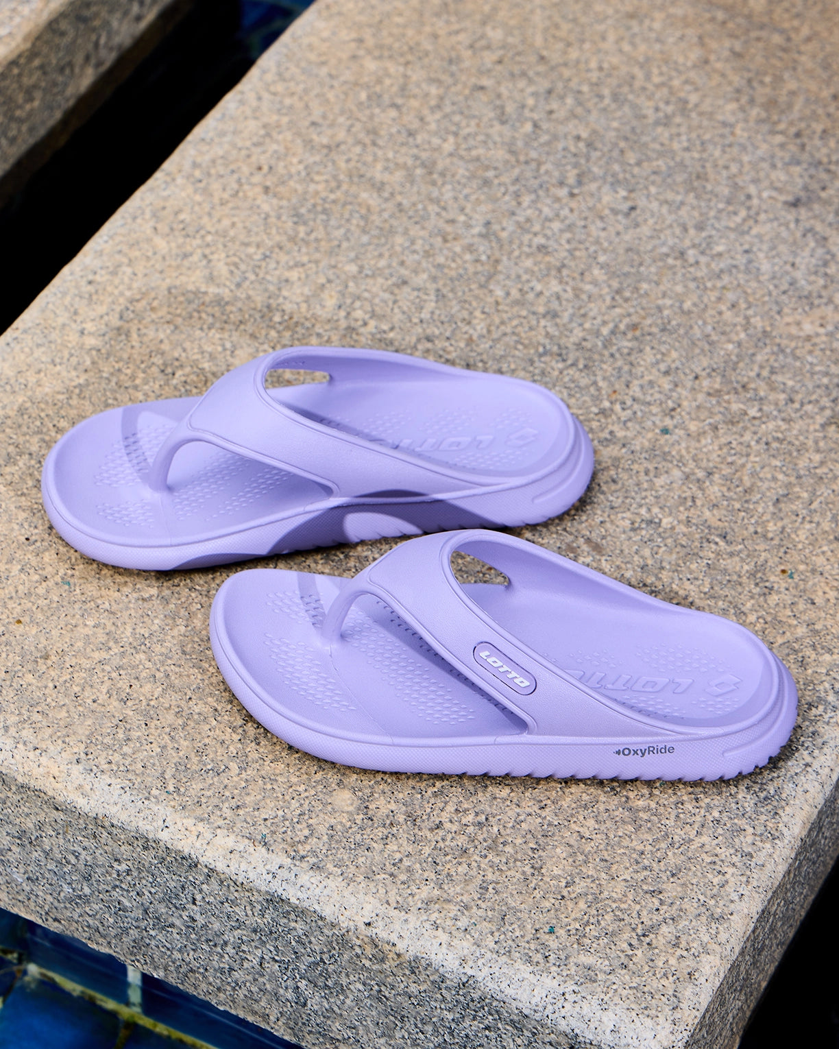 Momentum - Heirloom Lilac-White