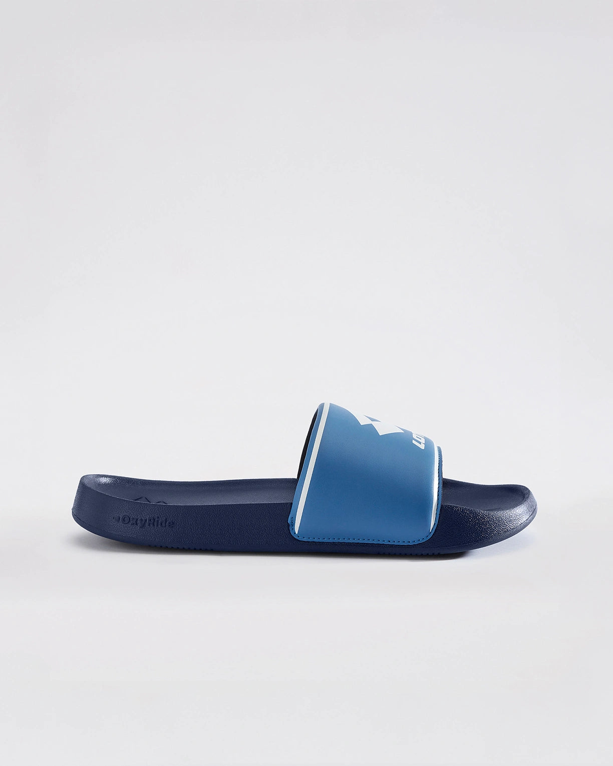 Midway  - Black Iris-Blithe