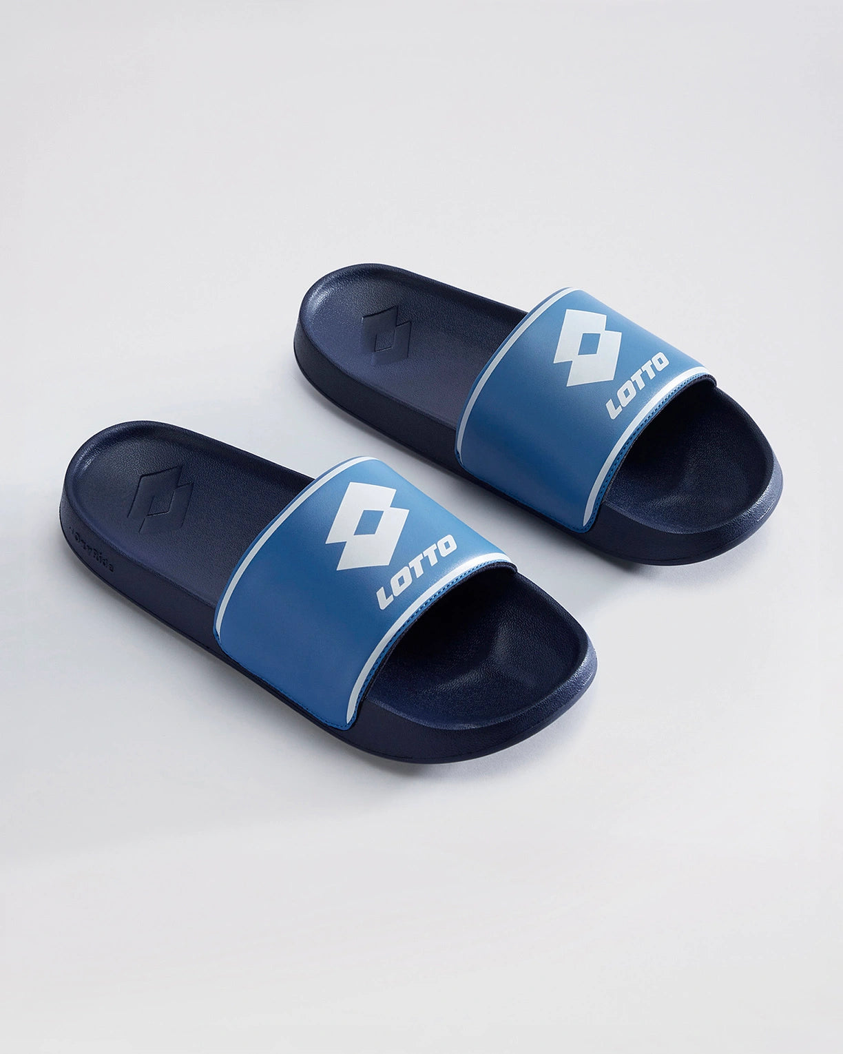 Midway  - Black Iris-Blithe