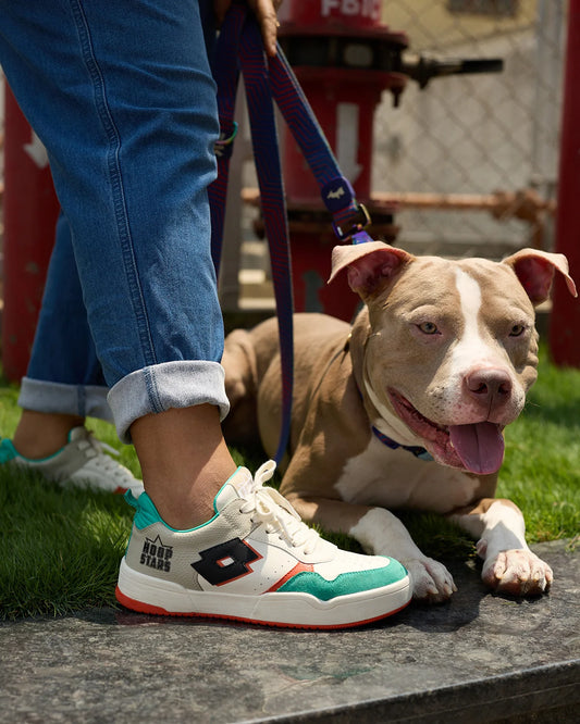 Women's Lotto Hoop Star OG - Star White-Arcadia-Pelican