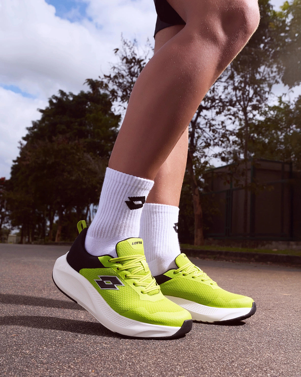 Energex - Evening Primrose-Black Beauty