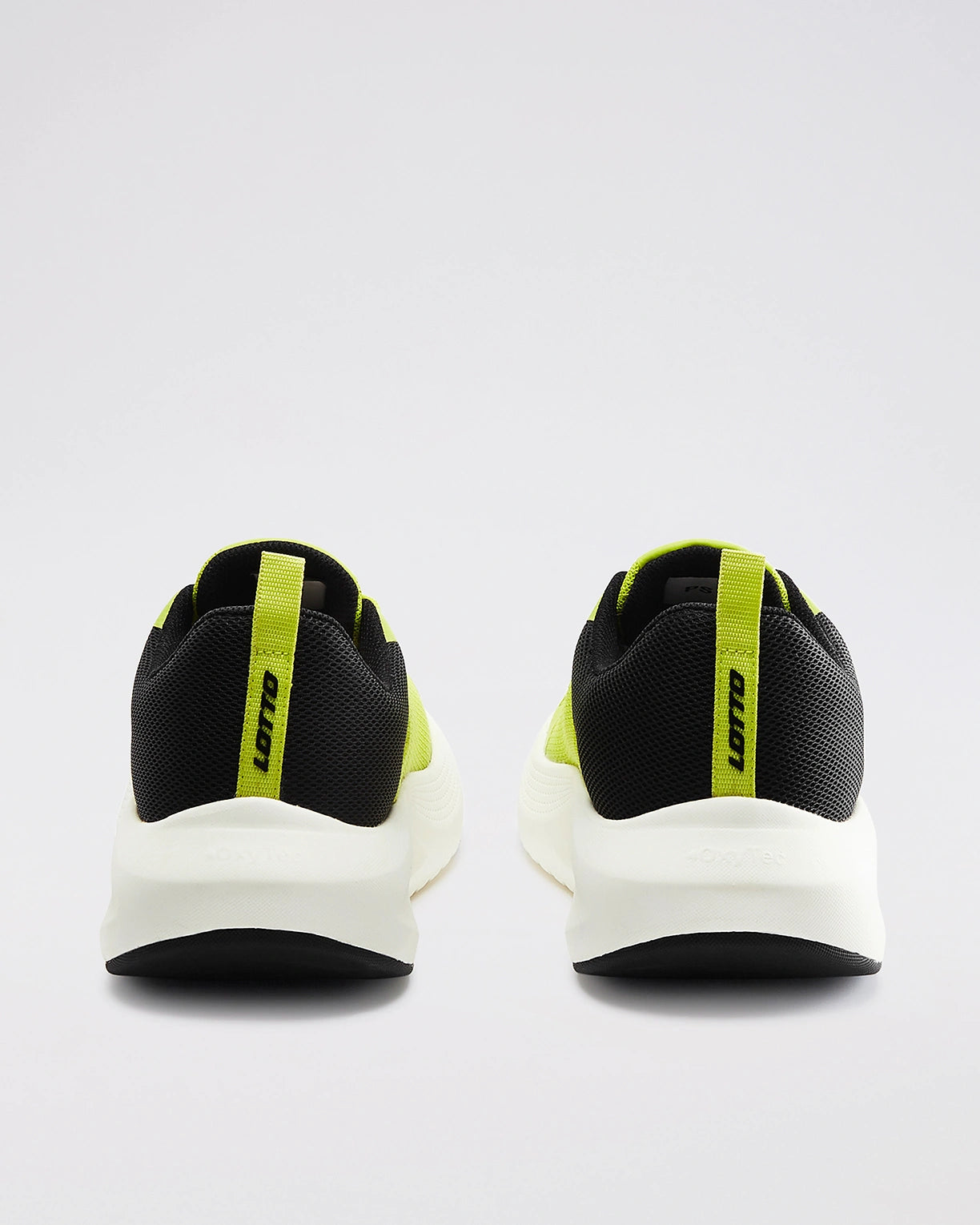 Energex - Evening Primrose-Black Beauty