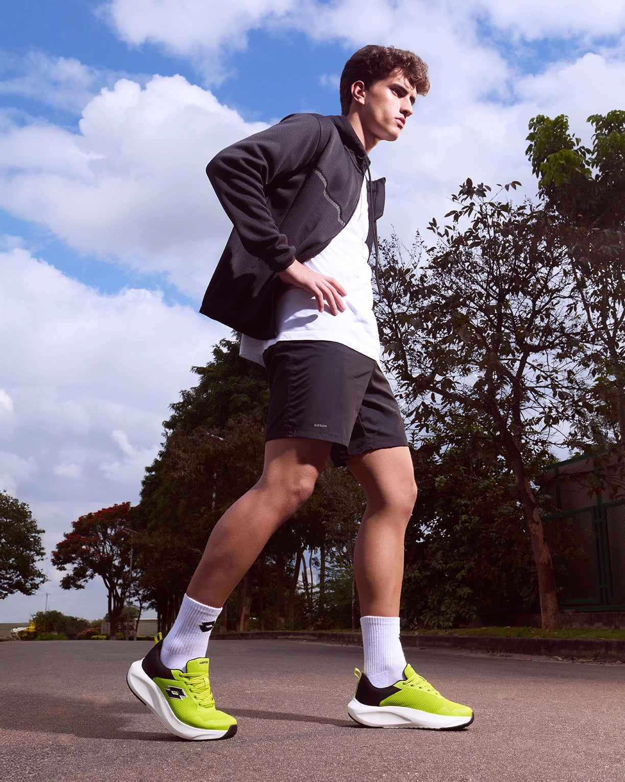 Energex - Evening Primrose-Black Beauty