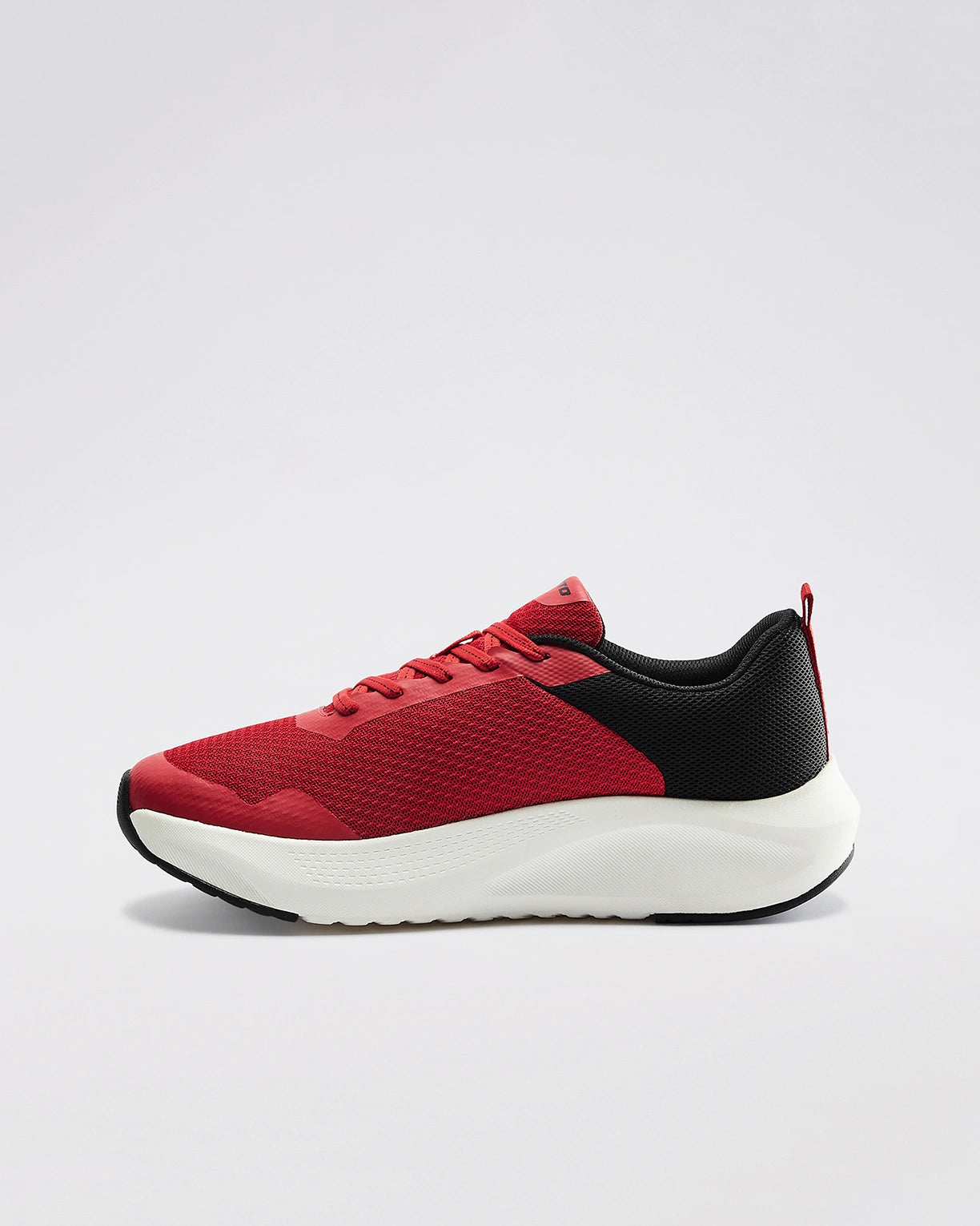 Energex - Rococco Red-Black Beauty