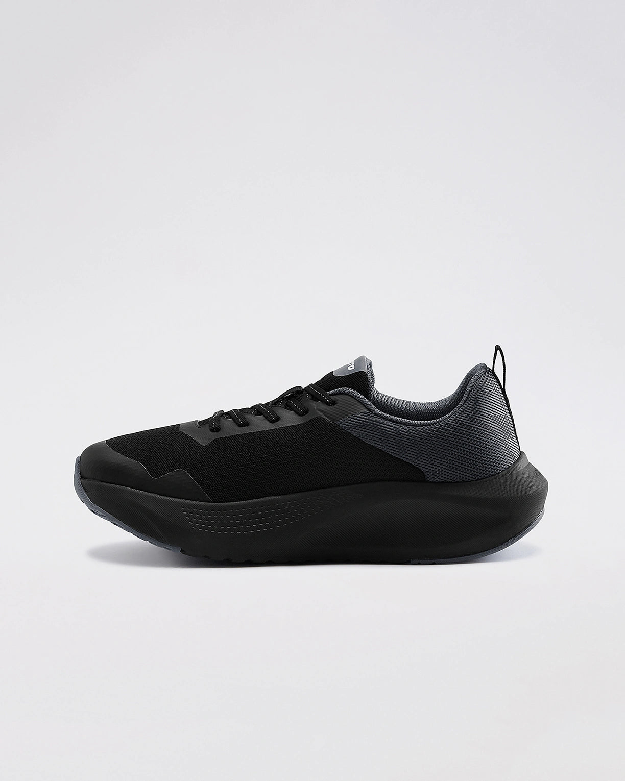 Energex - Black Beauty-Castlerock