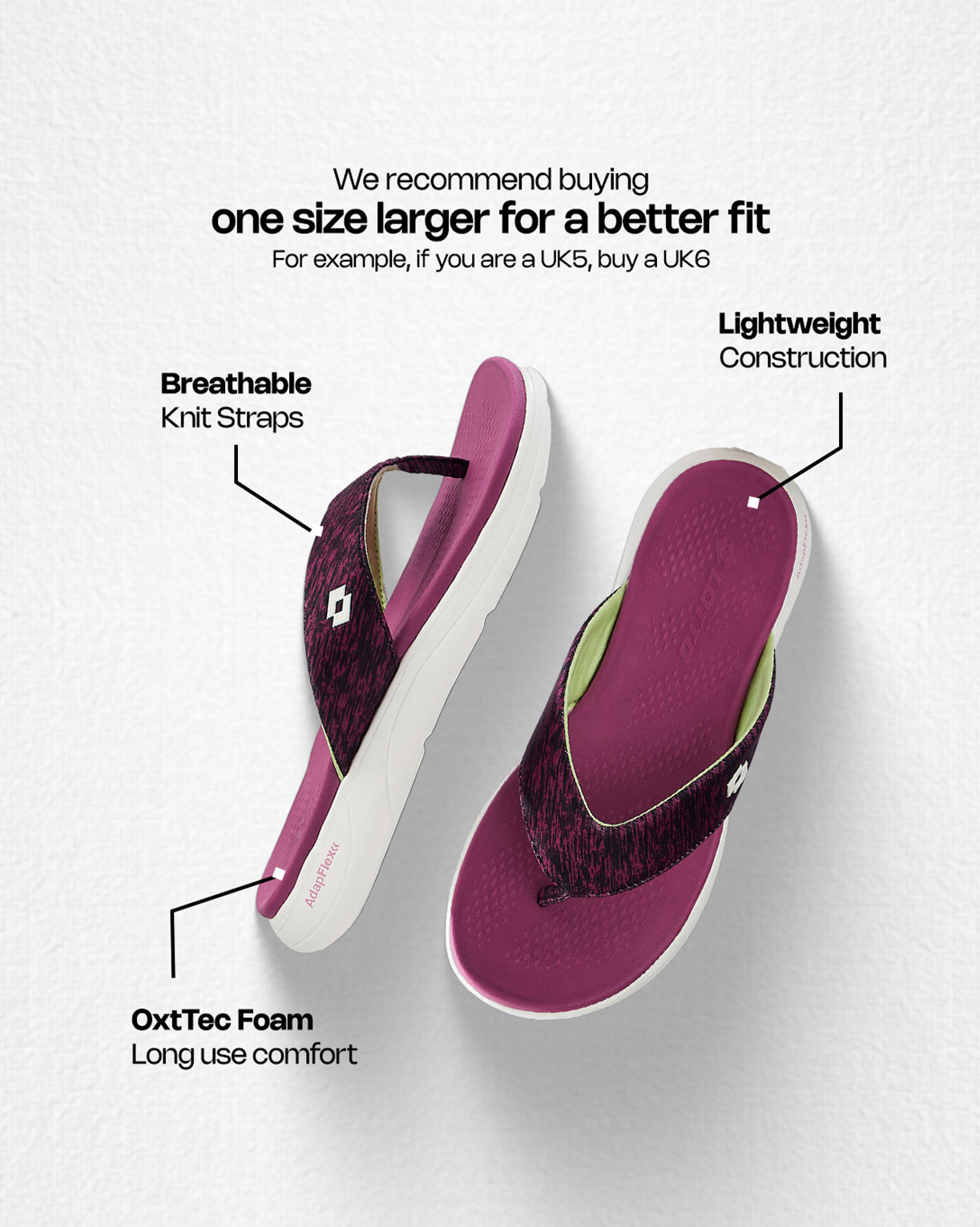 Evernote - Dark Purple-Light Green